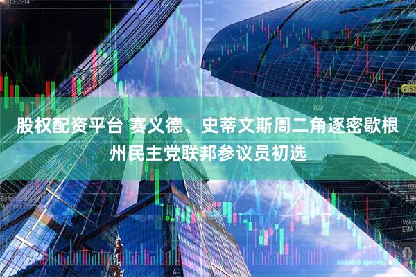 股权配资平台 赛义德、史蒂文斯周二角逐密歇根州民主党联邦参议员初选