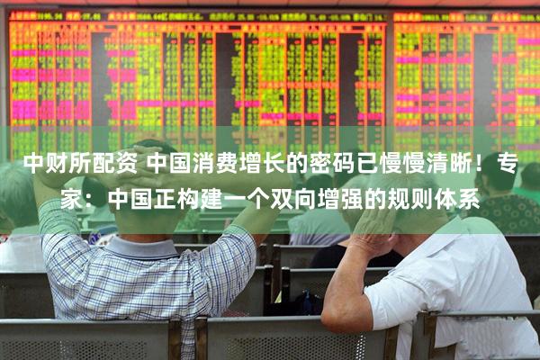 中财所配资 中国消费增长的密码已慢慢清晰！专家：中国正构建一个双向增强的规则体系