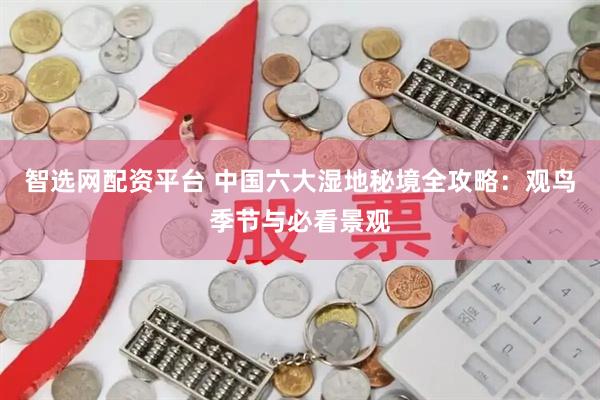 智选网配资平台 中国六大湿地秘境全攻略：观鸟季节与必看景观
