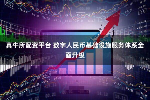 真牛所配资平台 数字人民币基础设施服务体系全面升级